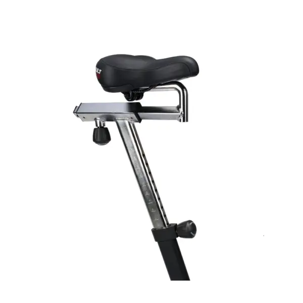 Assault Air Bike Classic