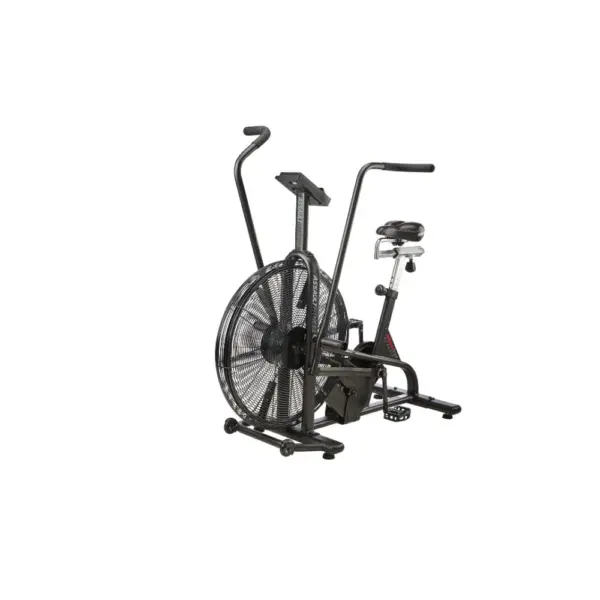 Assault Air Bike Classic