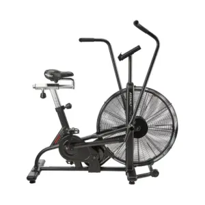 Assault Air Bike Classic Competición desde 508,90&euro;