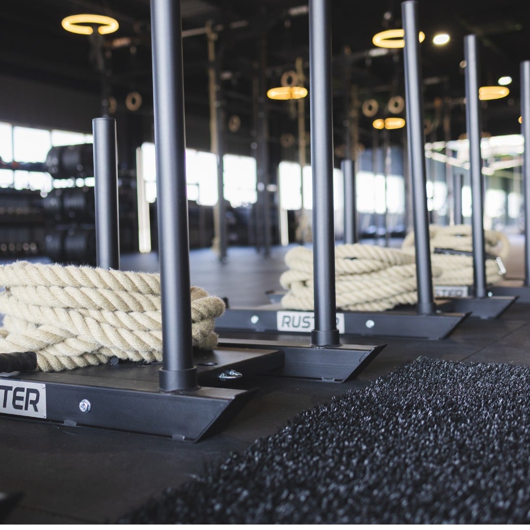 Trineo Cross Training - Imagen 3